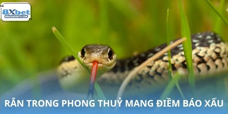 Biểu tượng rắn trong phong thủy và thông điệp tiềm ẩn