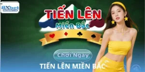 Tiến Lên Miền Bắc: Mách Nhỏ Mẹo Chinh Phục Cho Bạn Mới