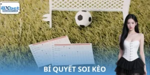 Bí Quyết Soi Kèo 8XBET Trước Giờ Bóng Lăn Chuẩn Như Cao Thủ