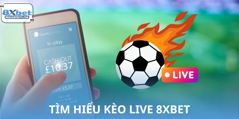 Tìm hiểu kèo live 8XBET được người chơi ưa chuộng